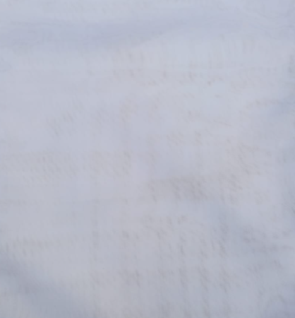 SHEER VOILE FRANCE FR BLANCO 300 CM